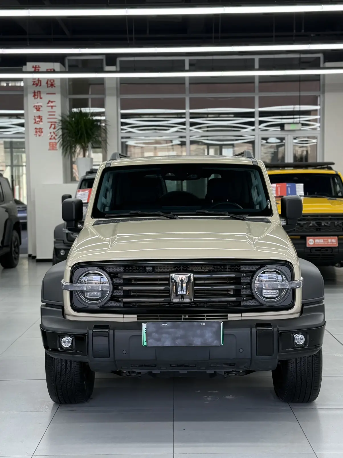 Tank 300 Hi4-T  из Китая