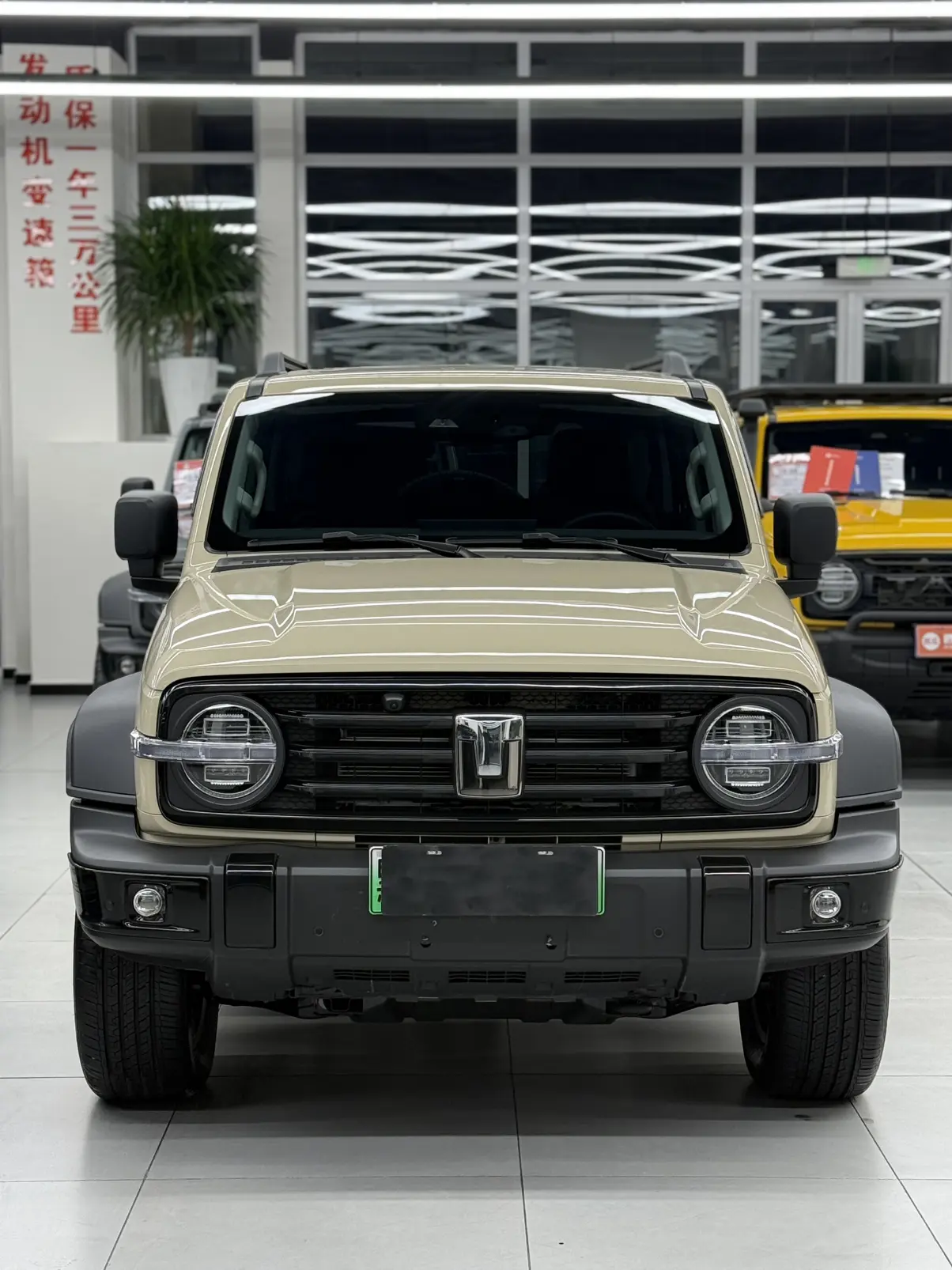 Tank 300 Hi4-T  из Китая