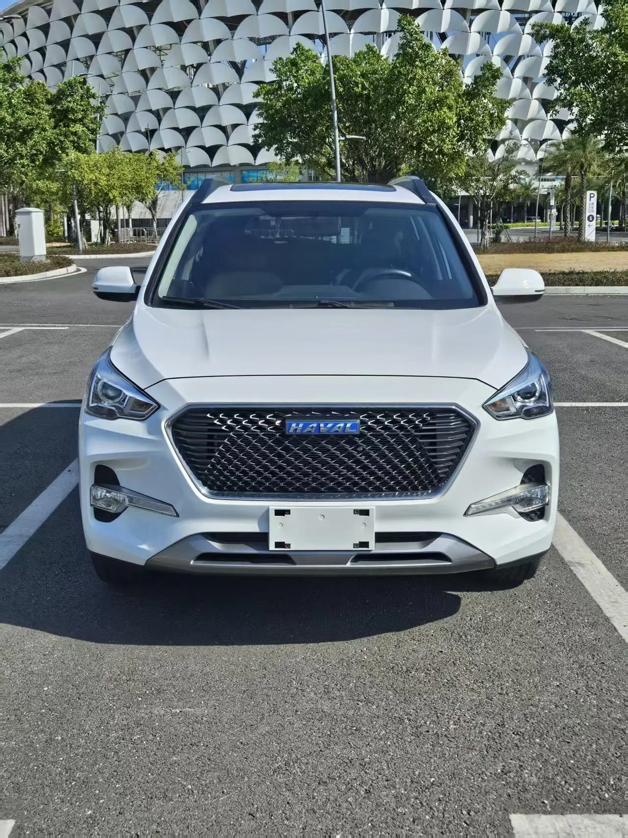 Haval M6  из Китая