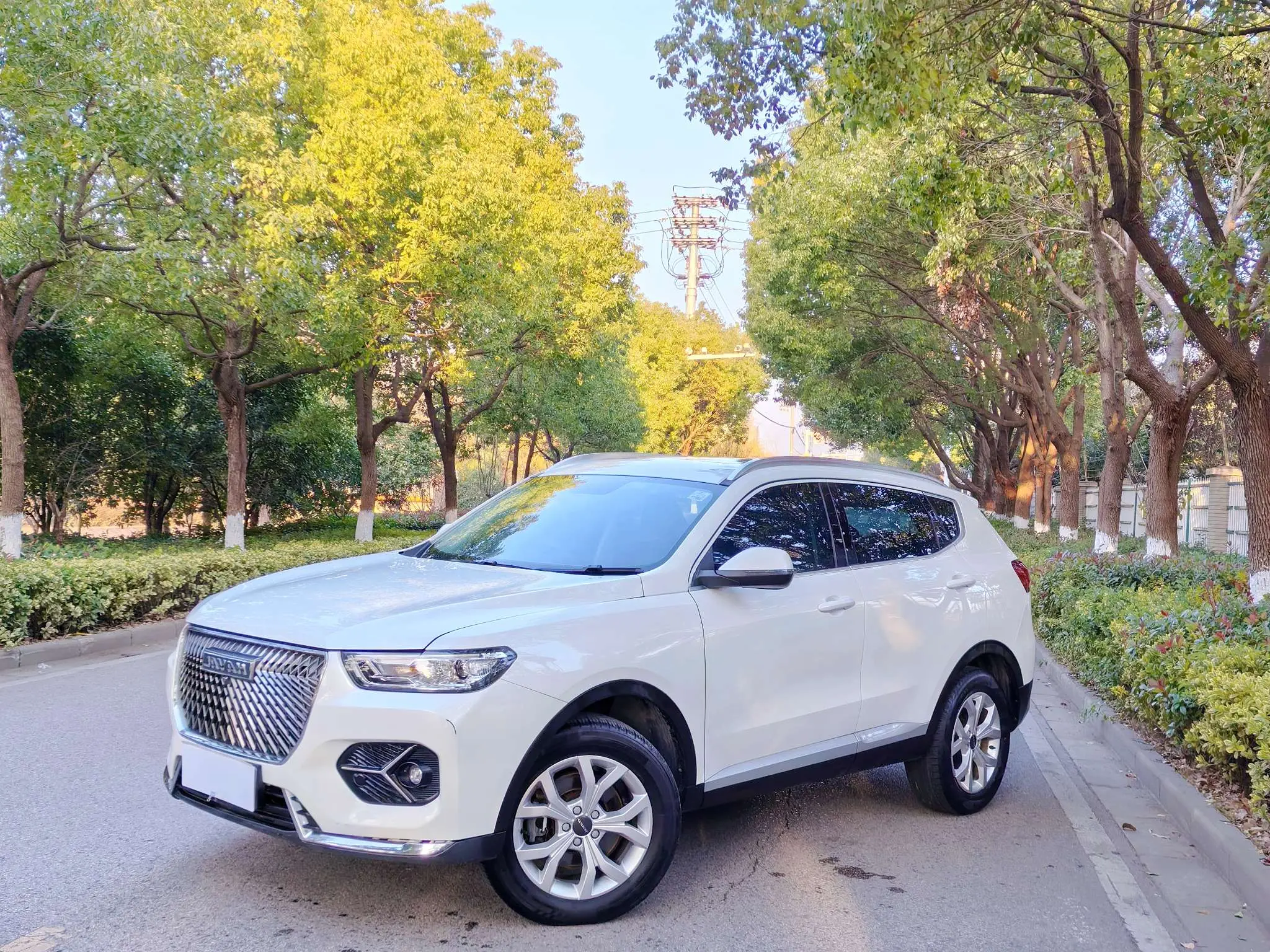 Haval H6  из Китая