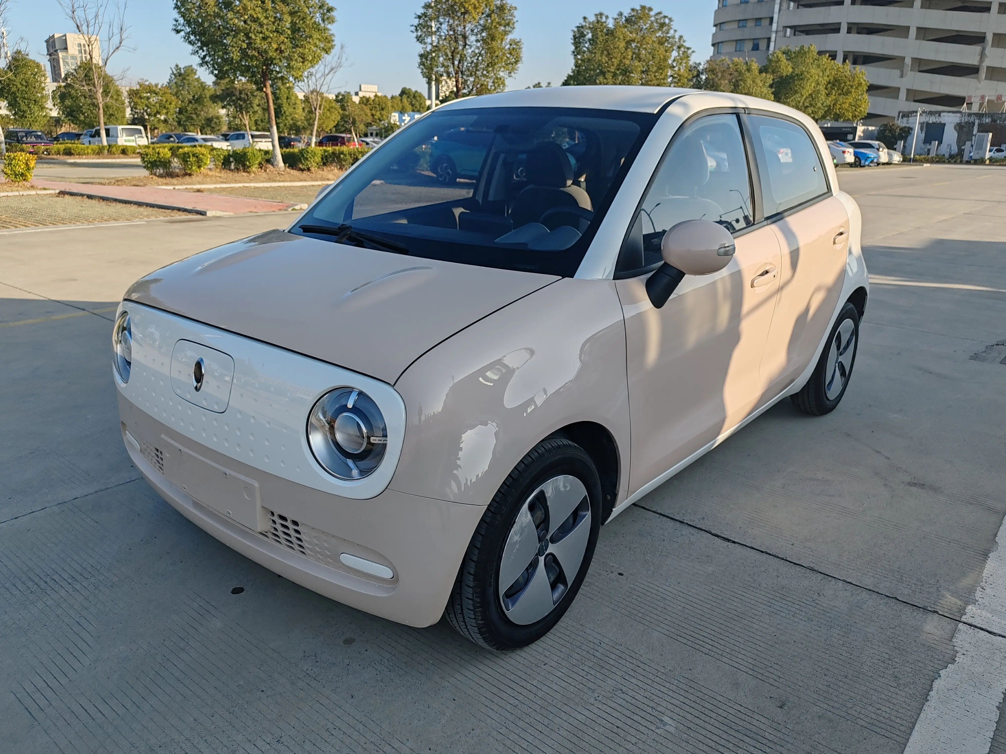 ORA Euler black cat  из Китая