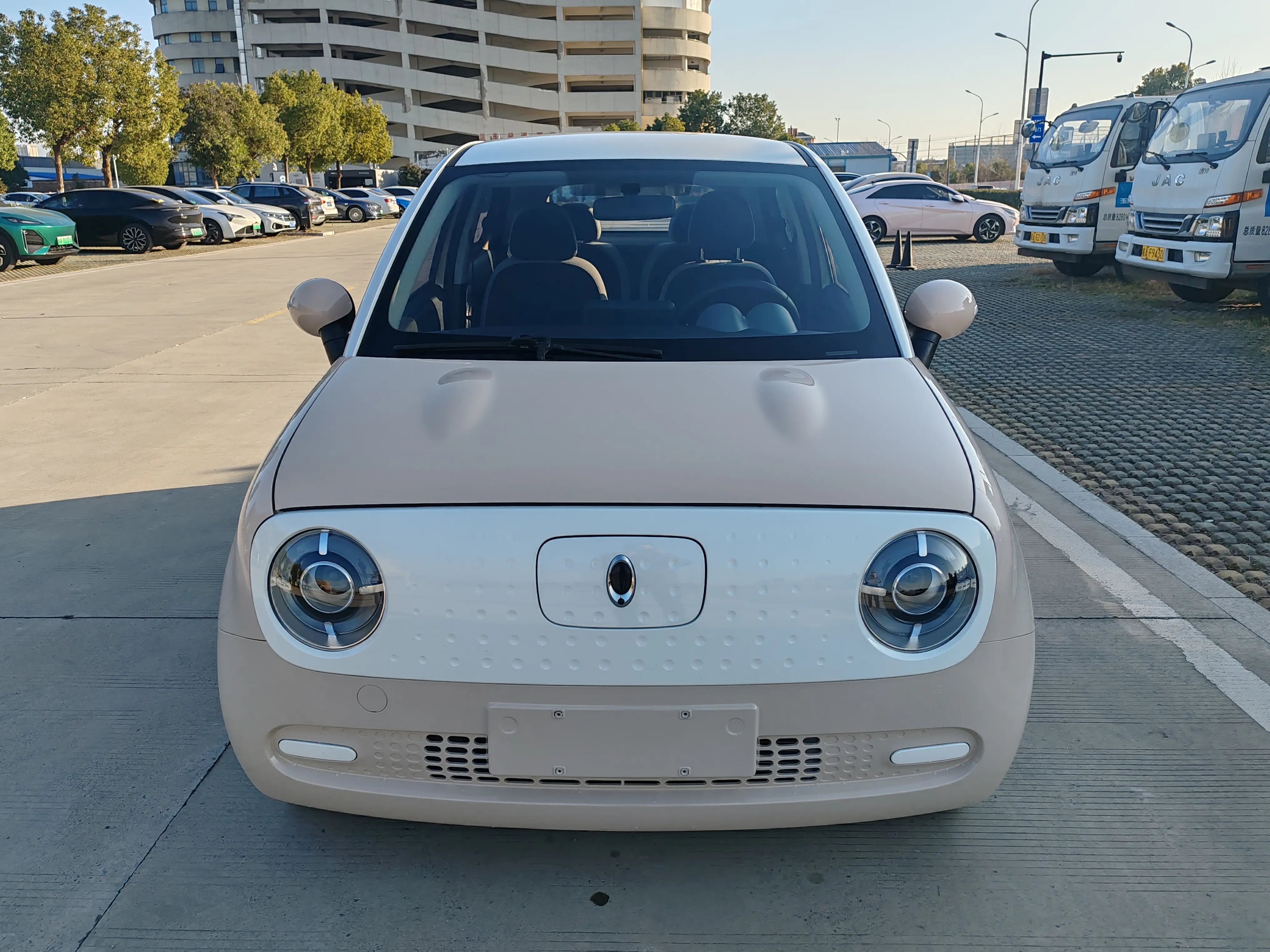 ORA Euler black cat  из Китая