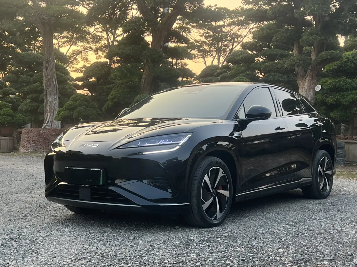 BYD Sea Lion 07EV  из Китая