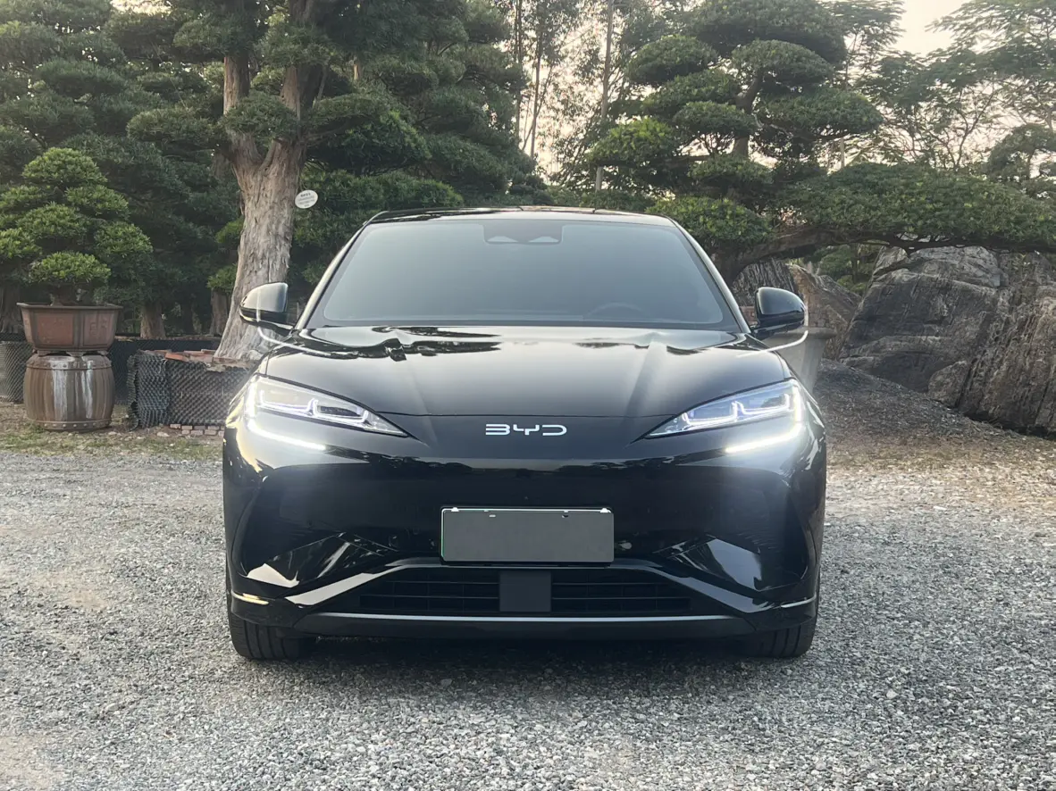 BYD Sea Lion 07EV  из Китая