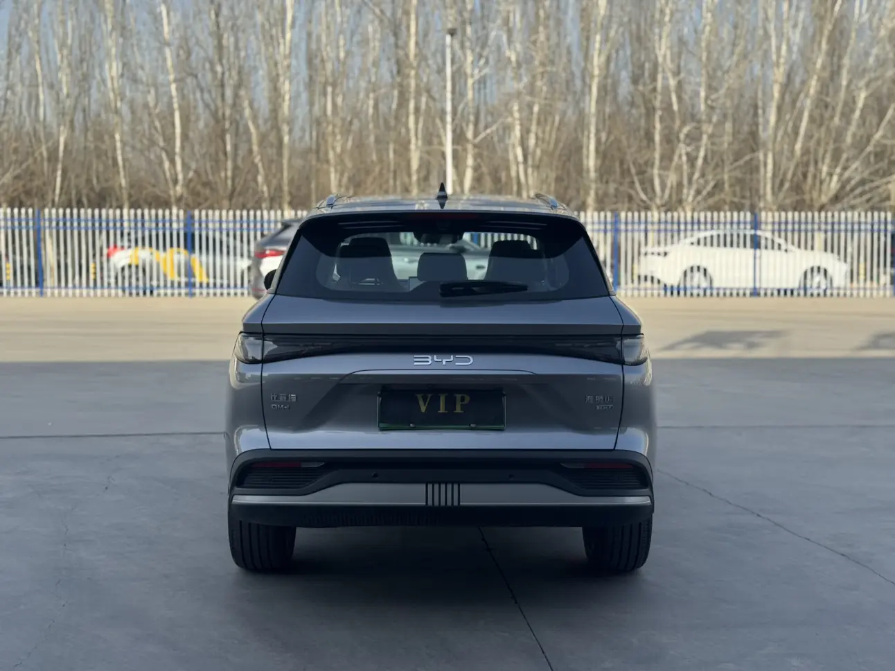 BYD Sea Lion 05DM