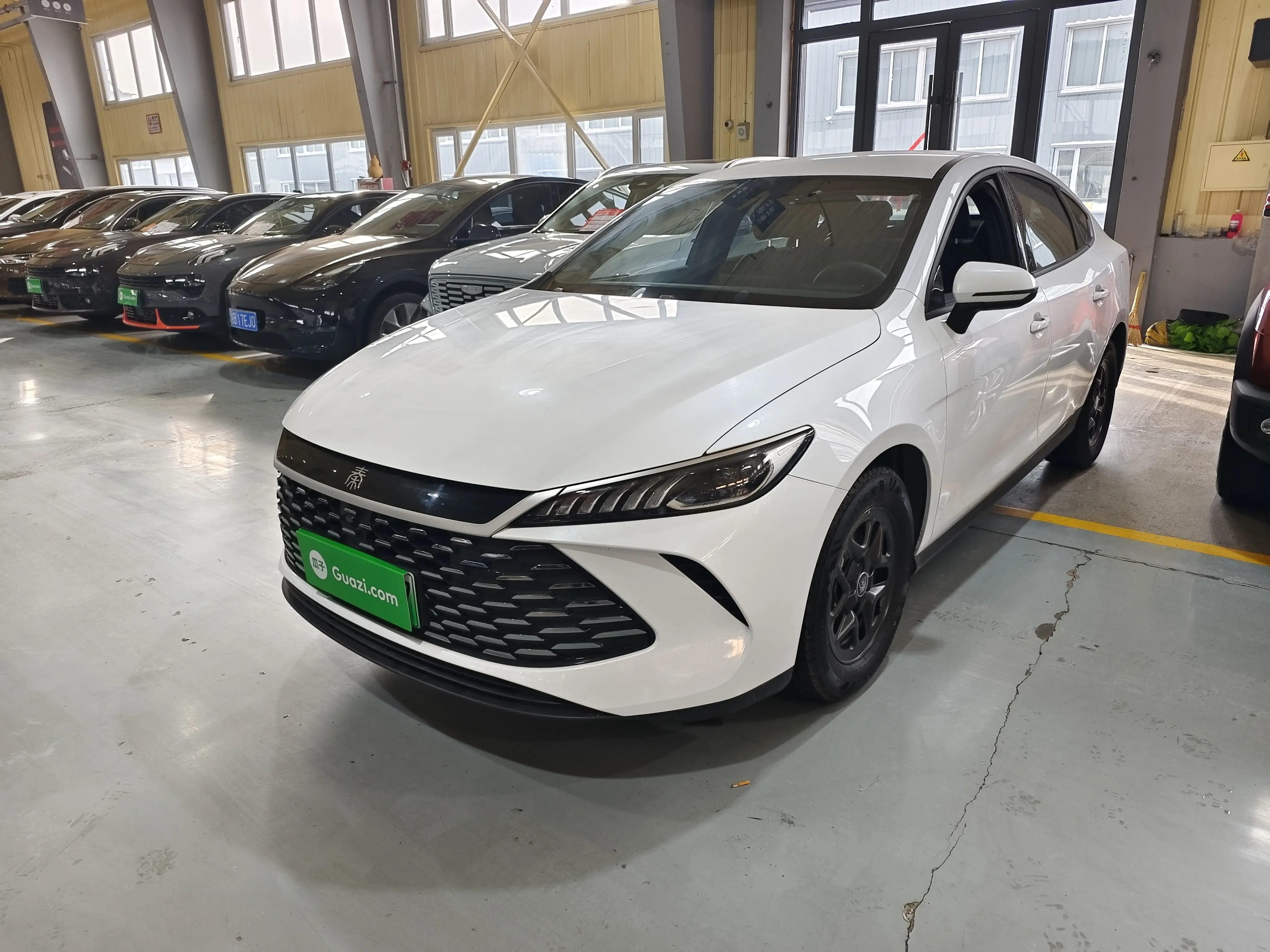 BYD Qin PLUS DM  из Китая