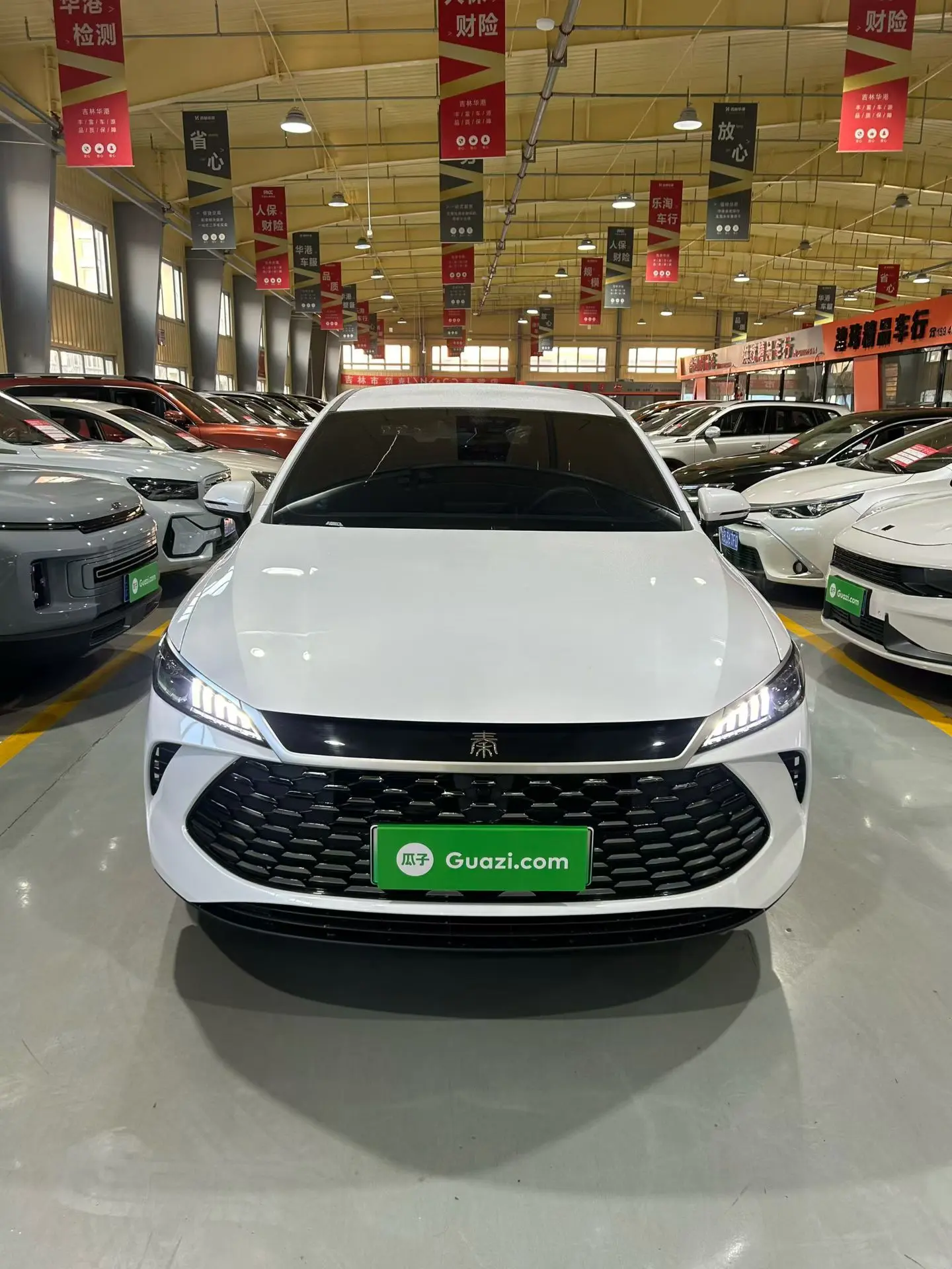 BYD Qin PLUS DM  из Китая
