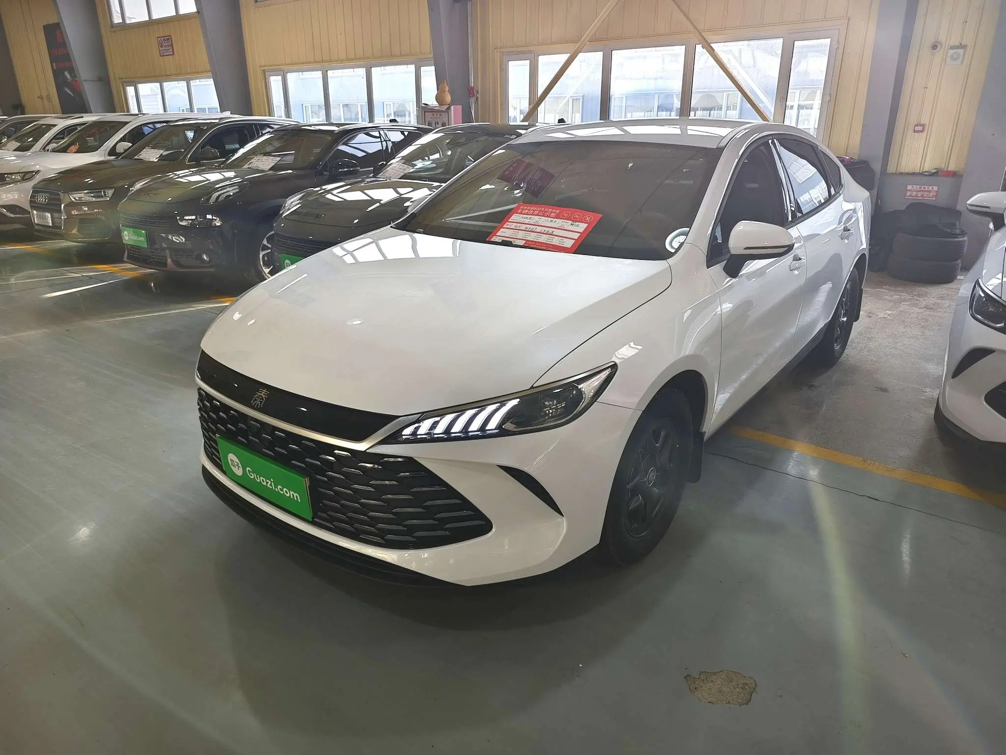 BYD Qin PLUS DM  из Китая