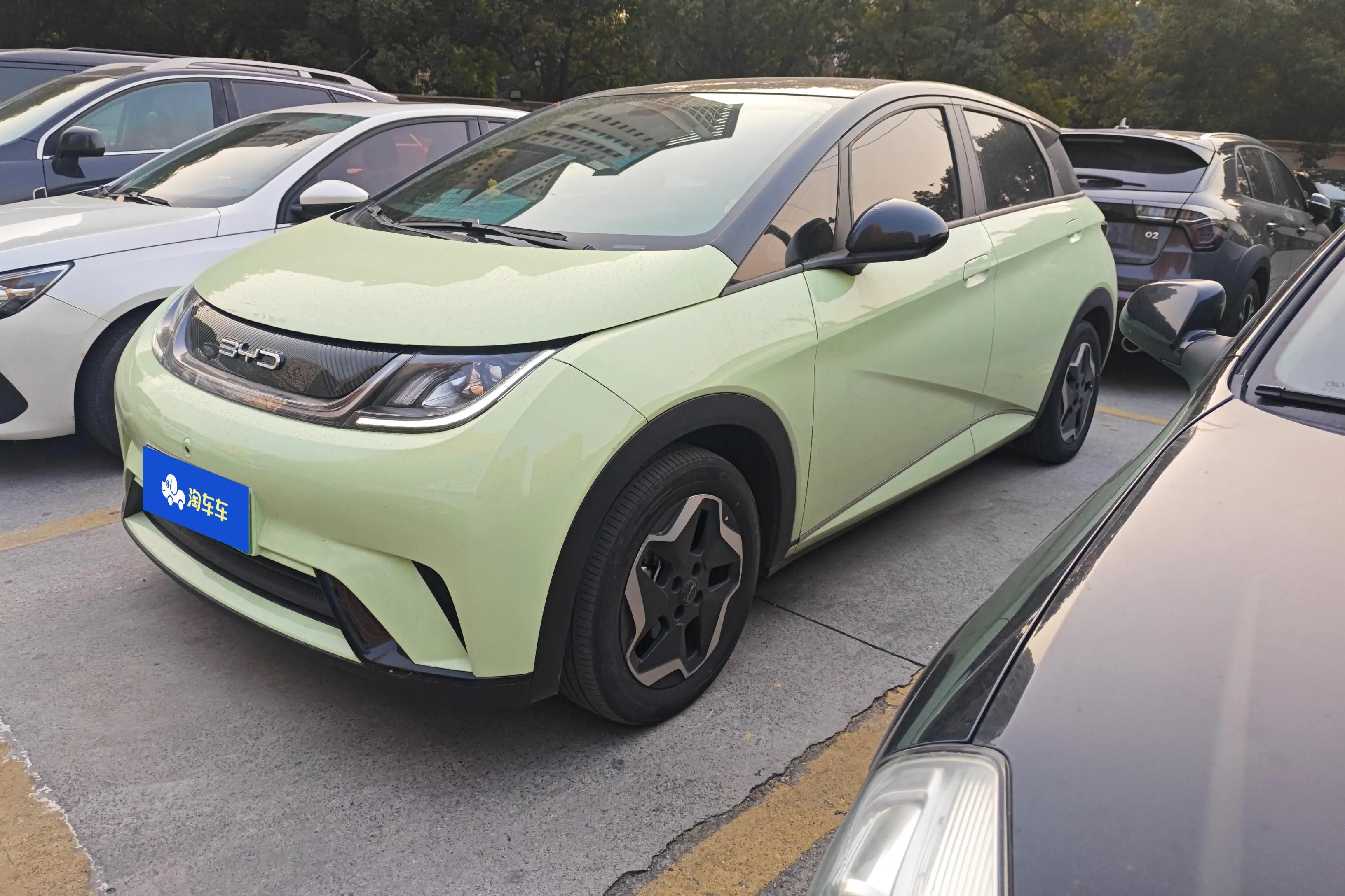 BYD Dolphin  из Китая