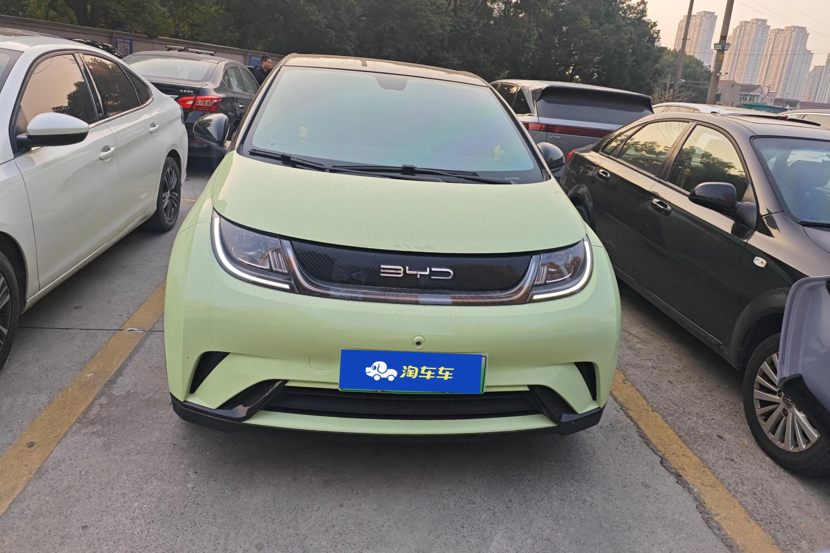 BYD Dolphin  из Китая