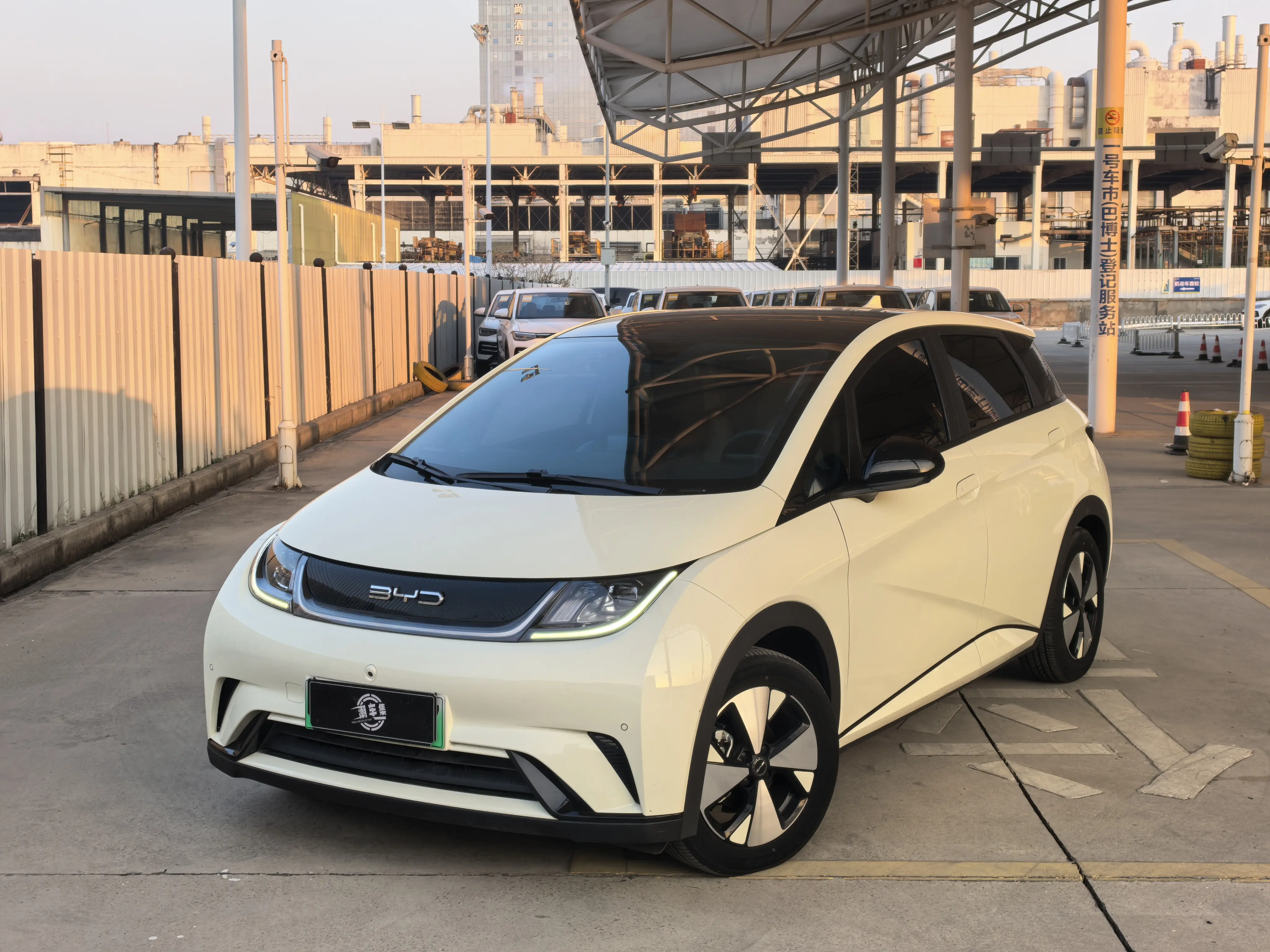 BYD Dolphin  из Китая