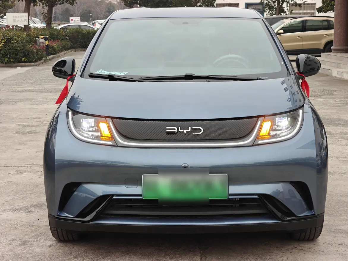 BYD Dolphin  из Китая