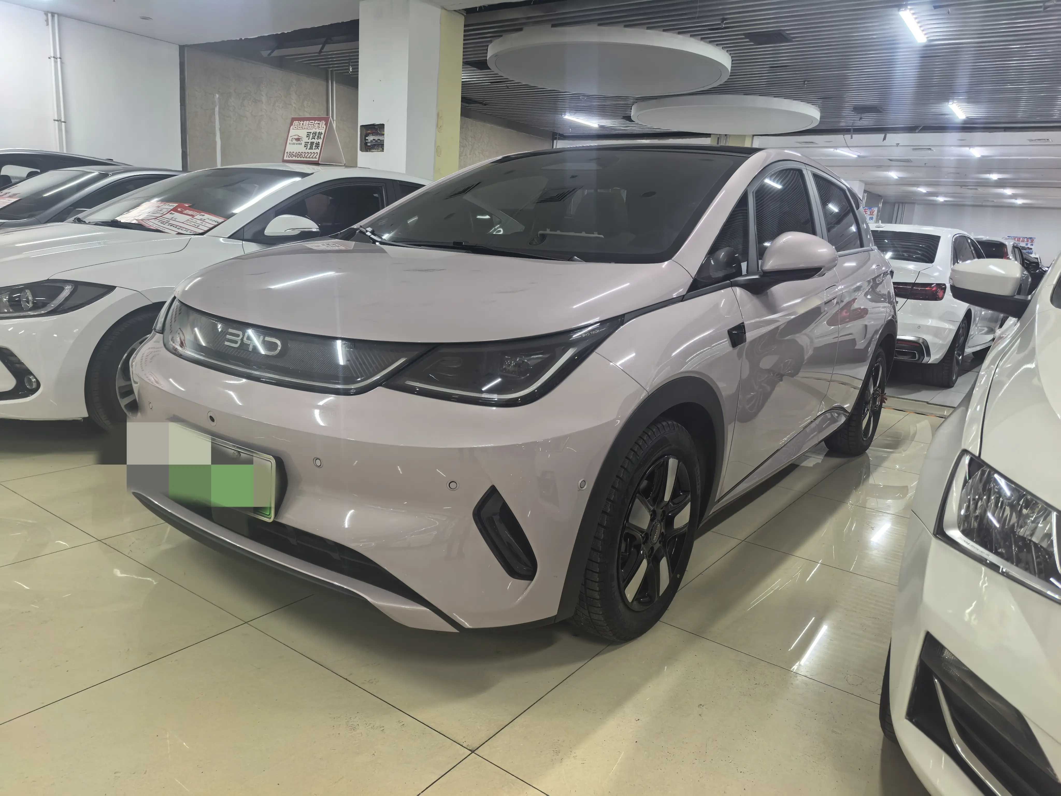 BYD Dolphin  из Китая