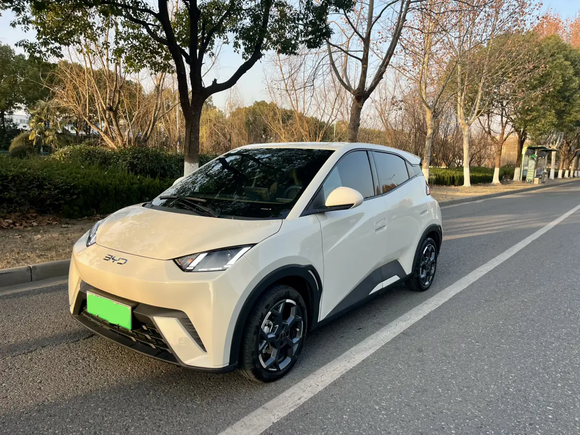 BYD Seagull  из Китая