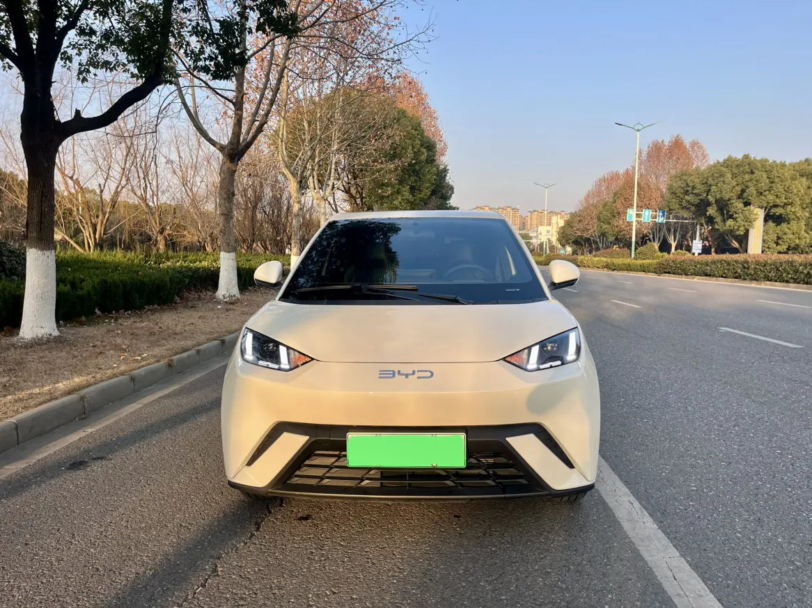 BYD Seagull  из Китая