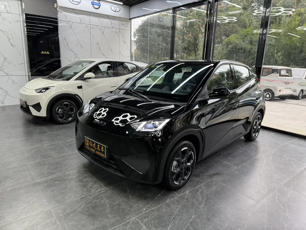 BYD Seagull  из Китая