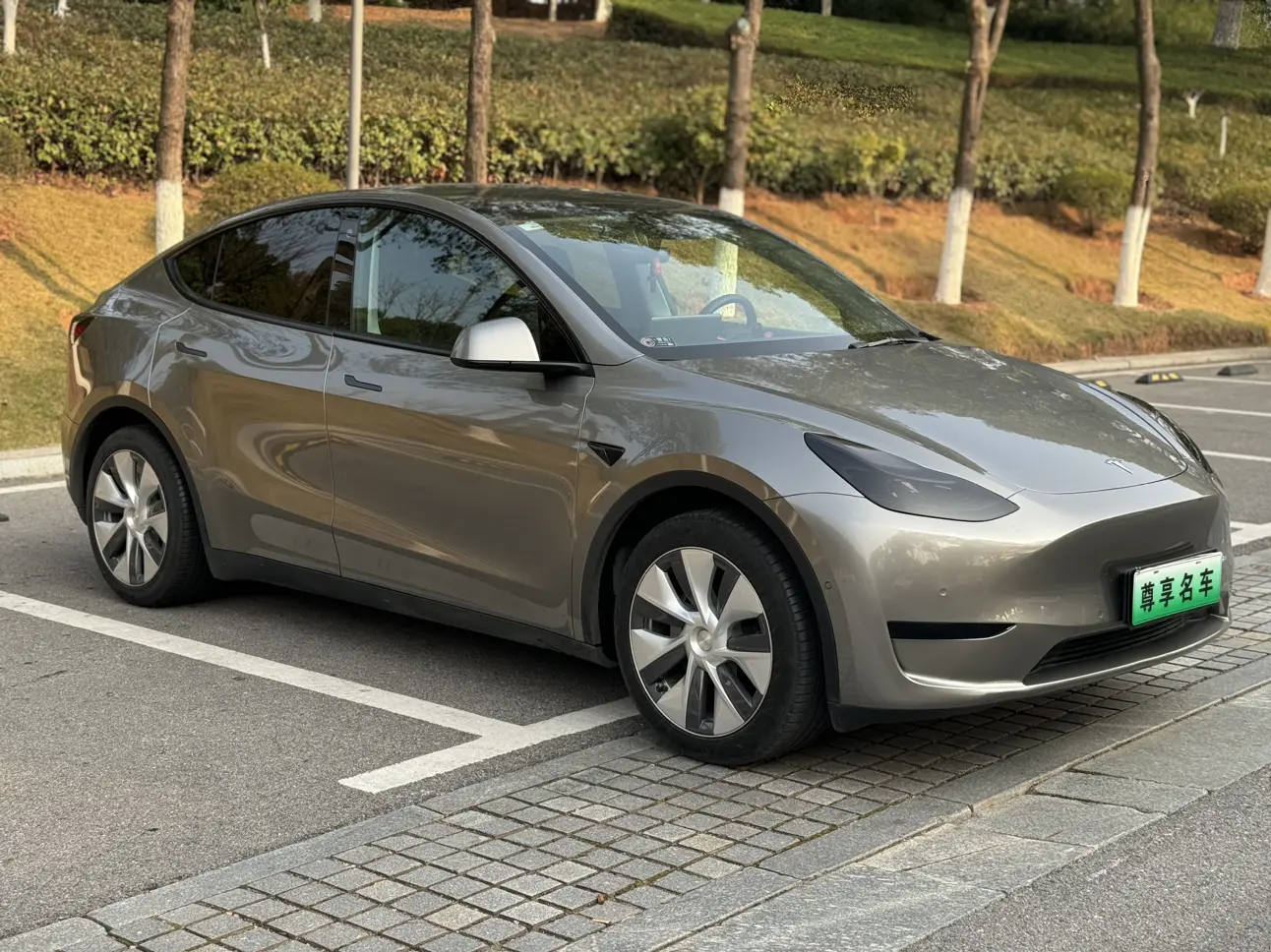 Tesla Model Y  из Китая