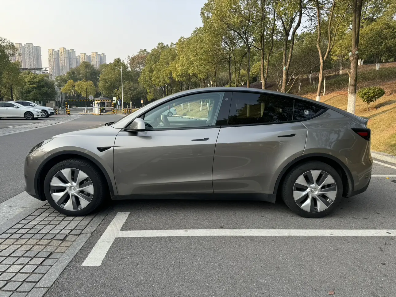 Tesla Model Y  из Китая