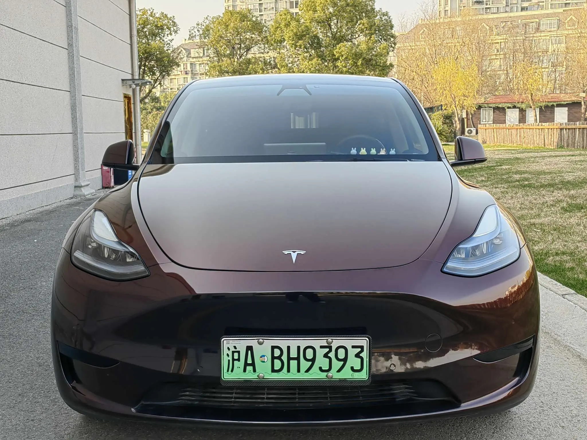 Tesla Model Y  из Китая