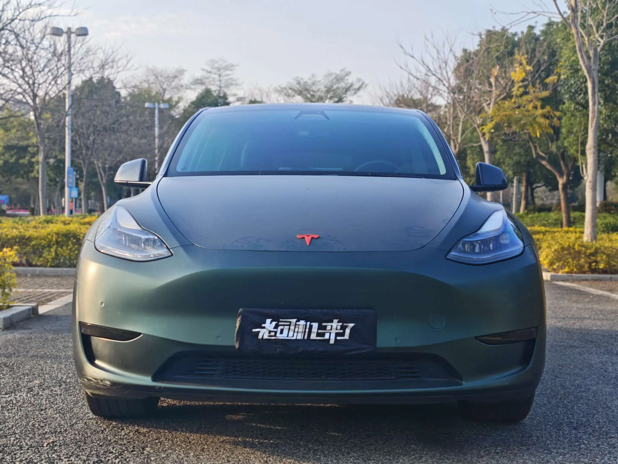 Tesla Model Y  из Китая