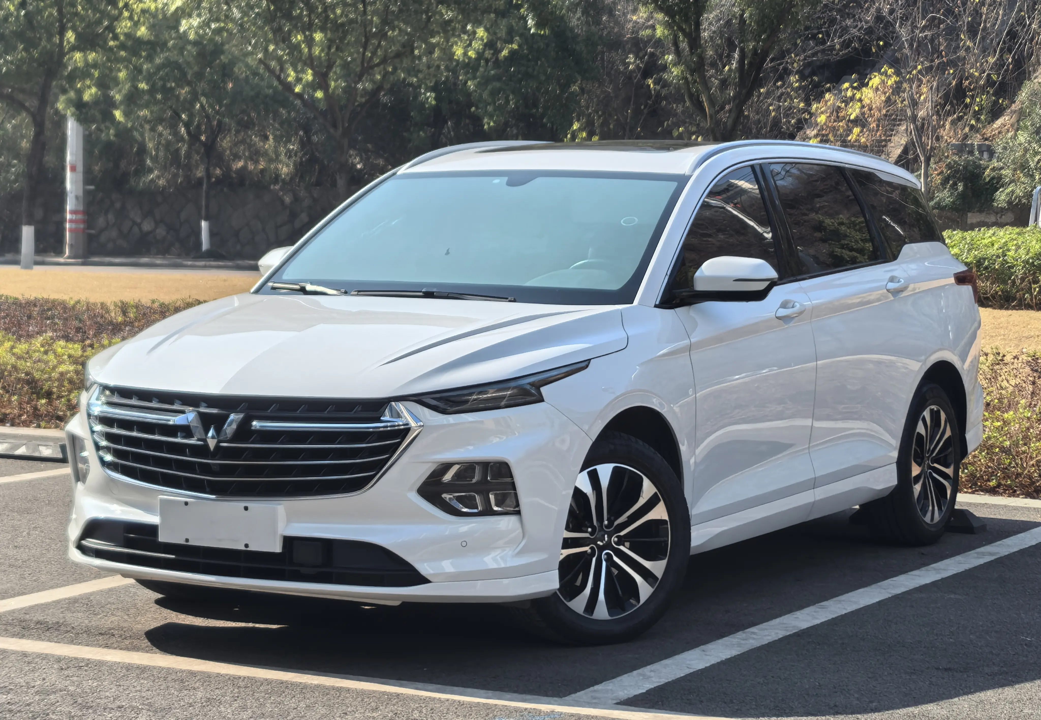 Wuling Capgemini Victory  из Китая