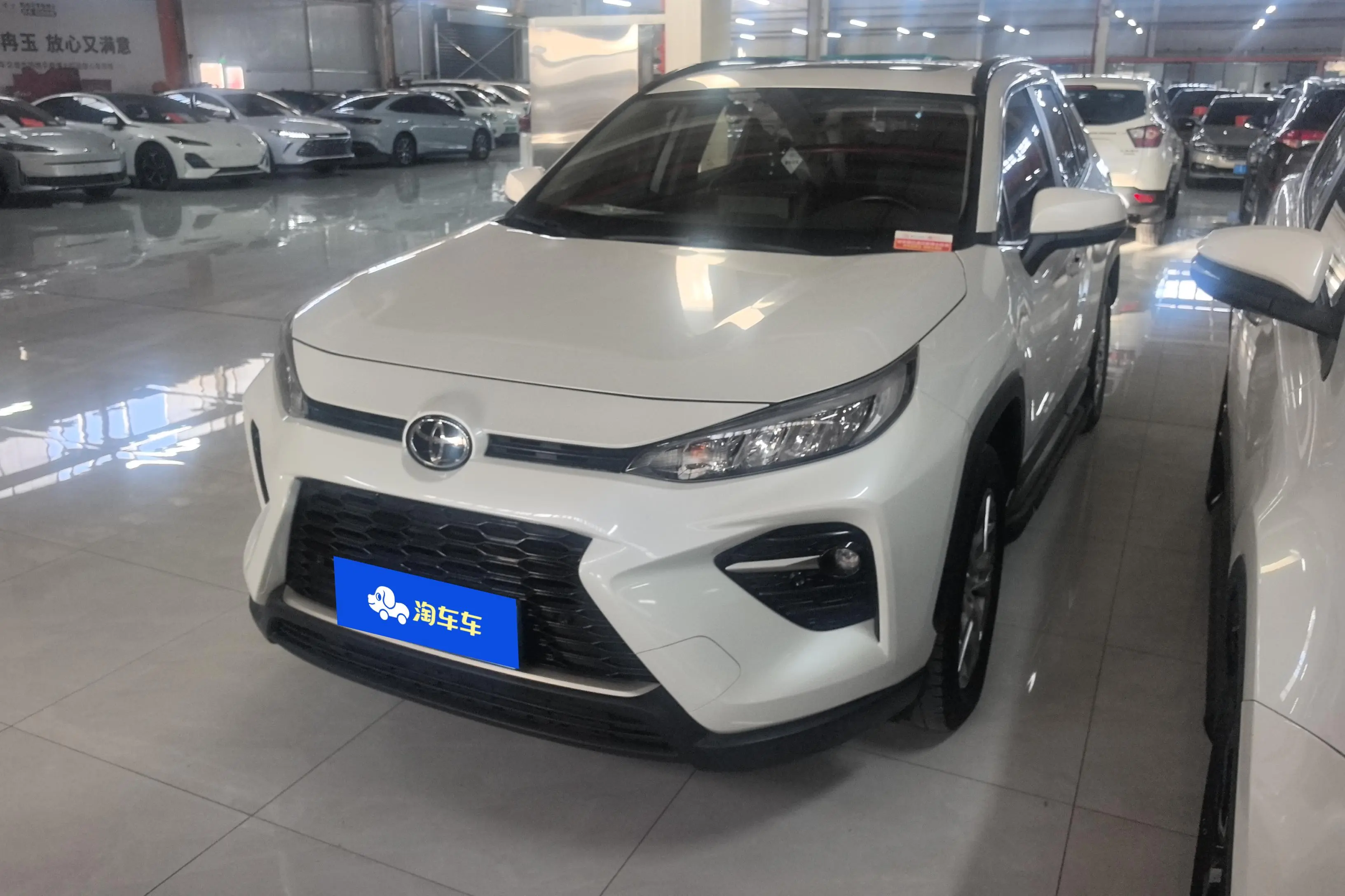 Toyota Willanda