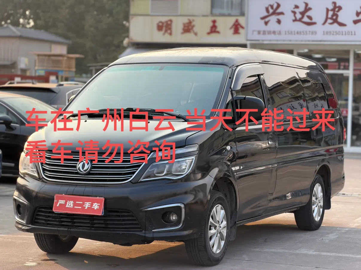 Forthing Lingzhi  из Китая