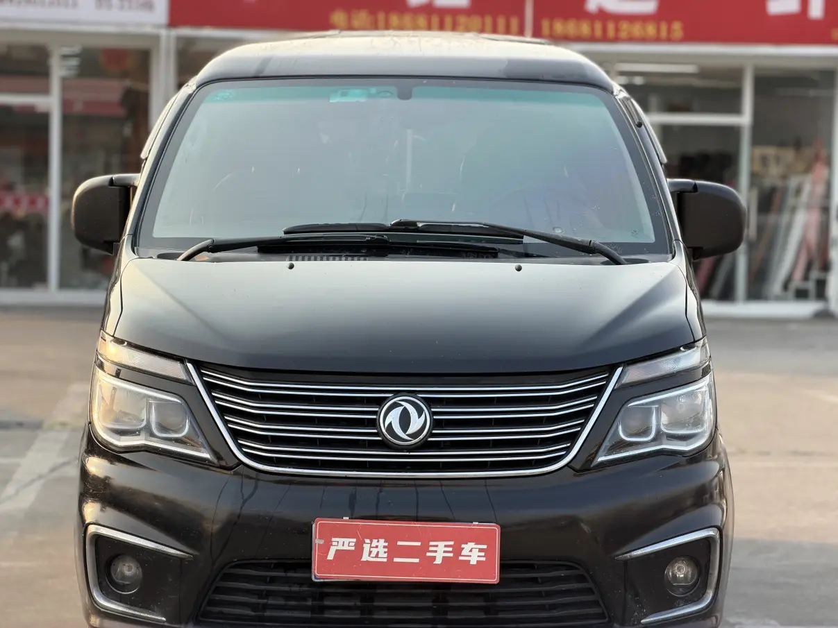 Forthing Lingzhi  из Китая