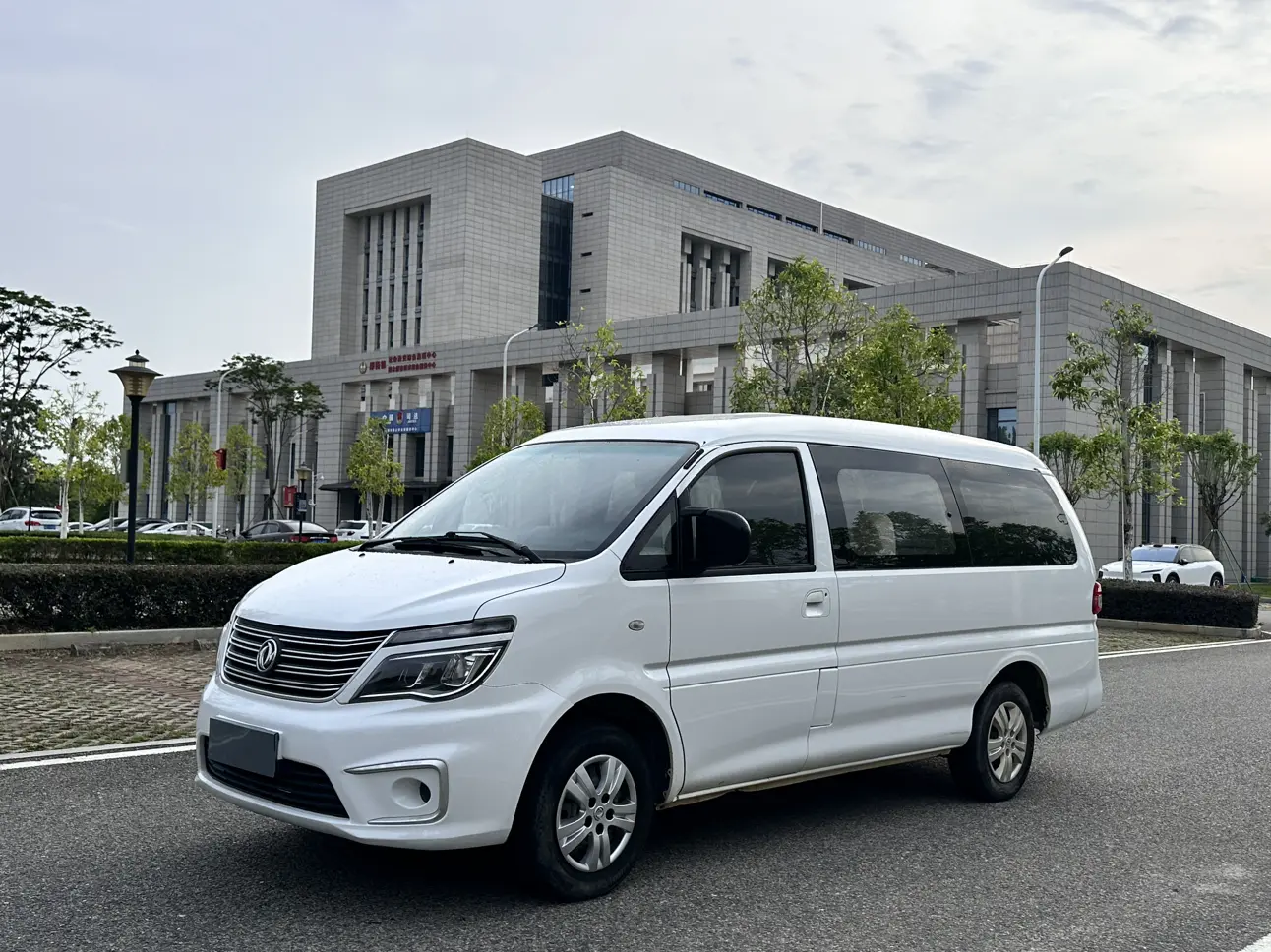 Forthing Lingzhi  из Китая