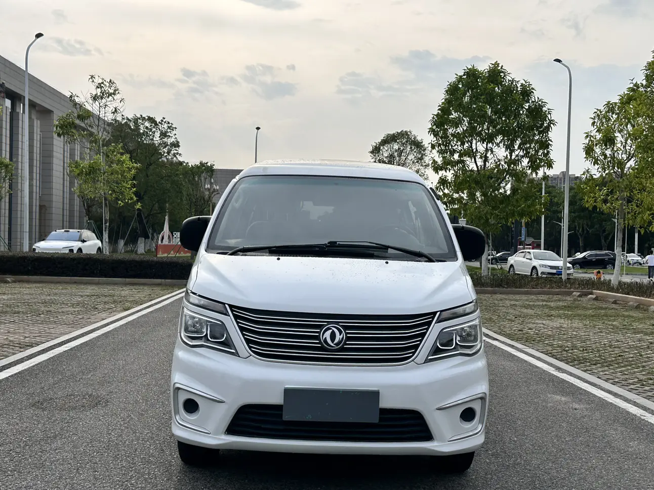 Forthing Lingzhi  из Китая