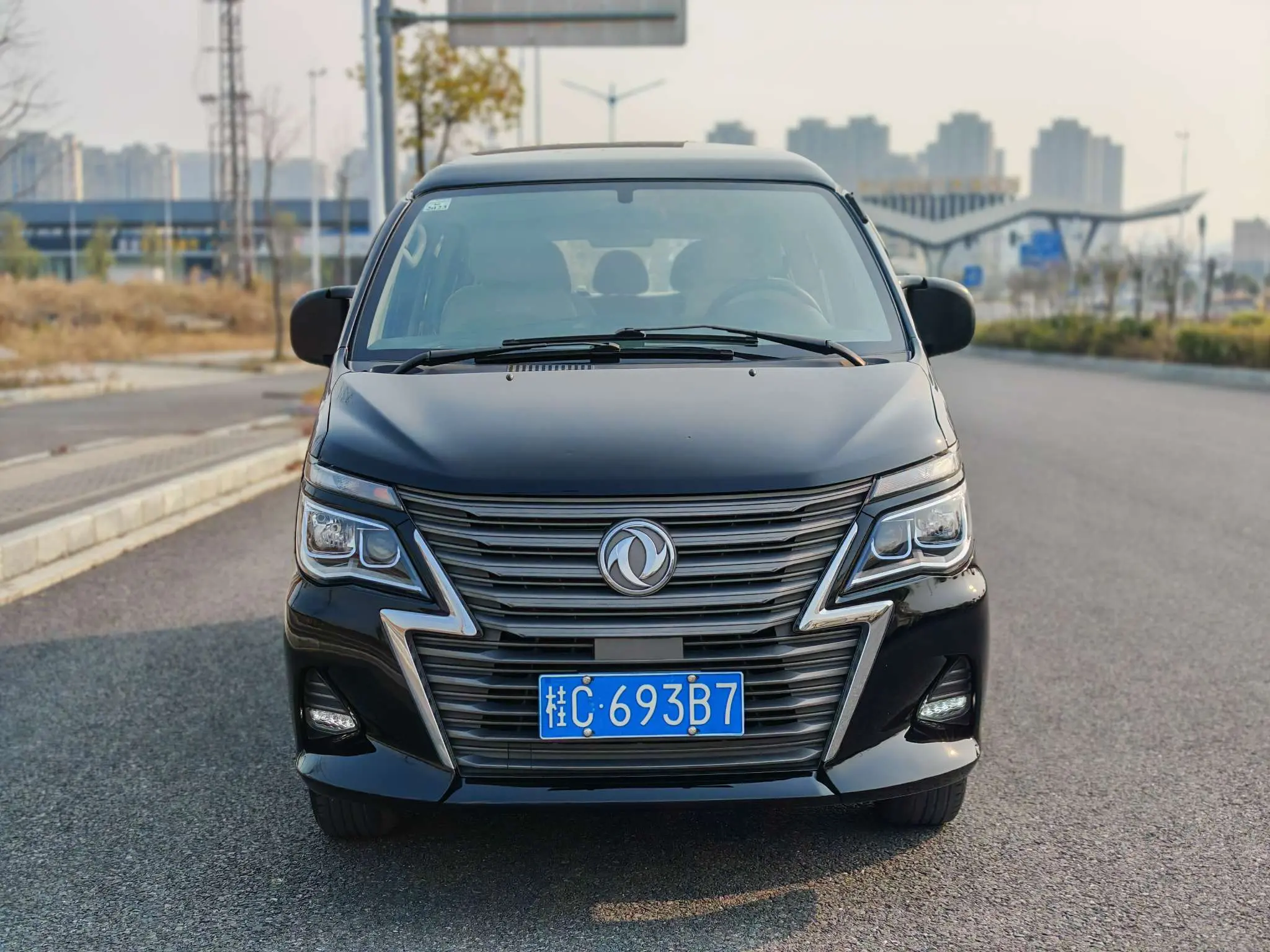 Forthing Lingzhi  из Китая