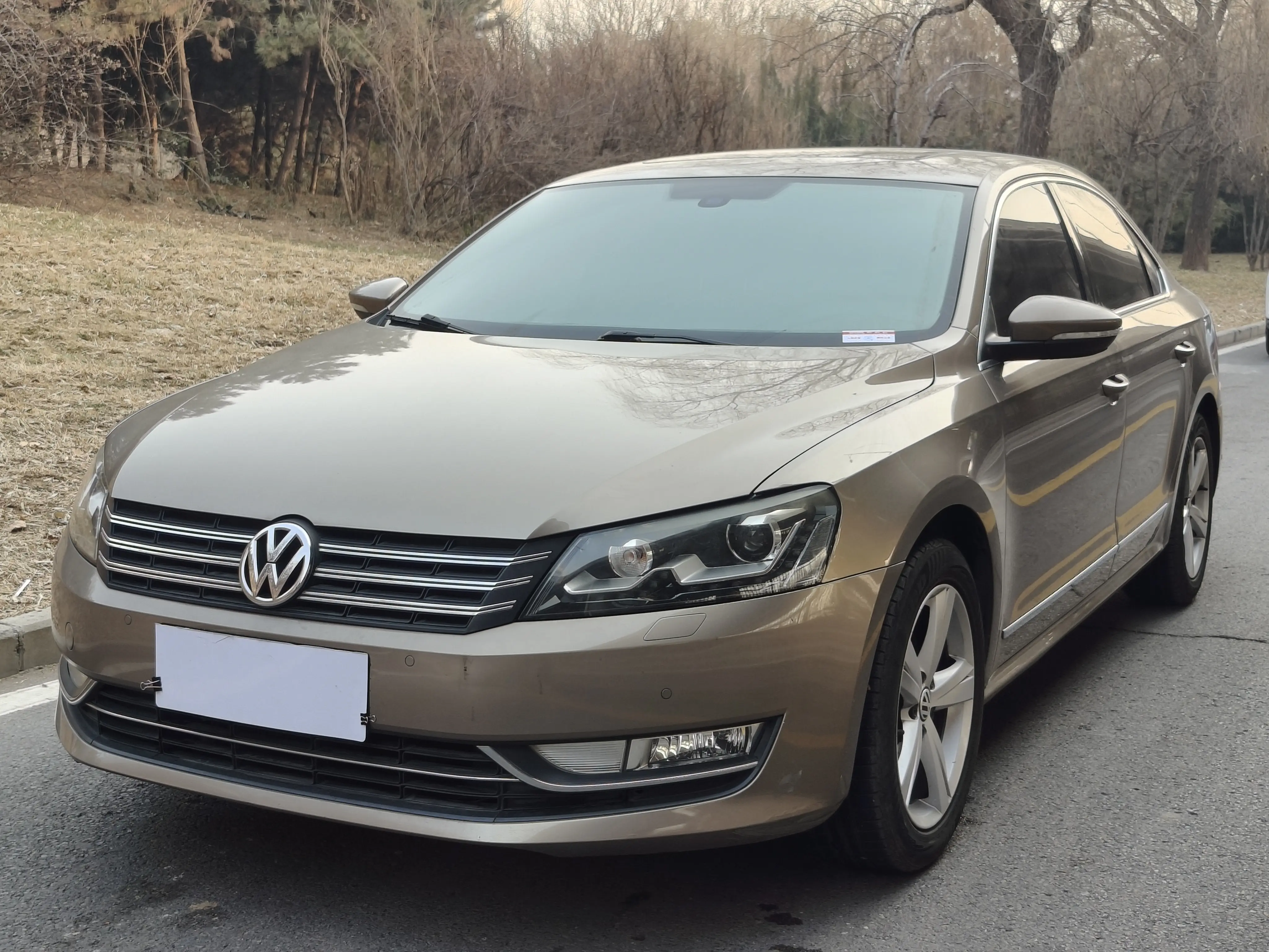 Volkswagen Passat  из Китая