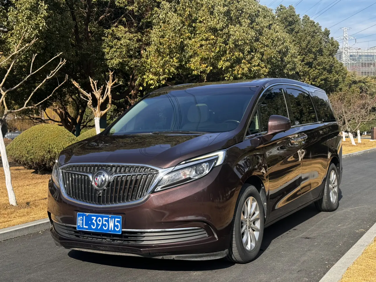Buick GL8  из Китая
