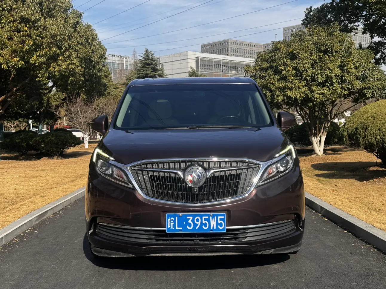 Buick GL8  из Китая