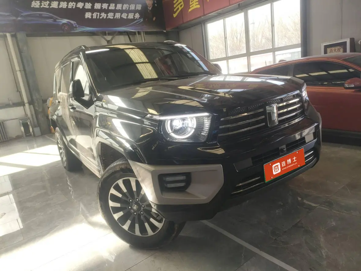 Tank 700 Hi4-T  из Китая