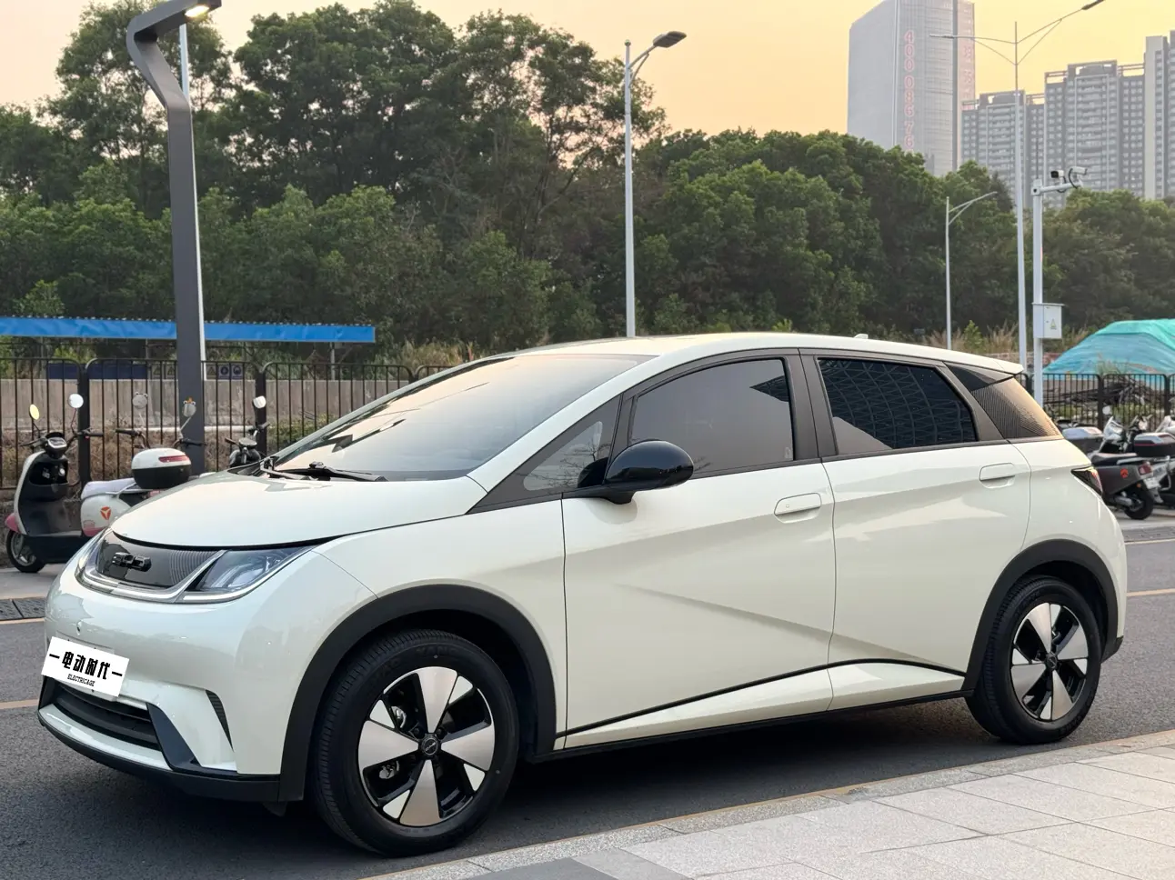 BYD Dolphin  из Китая