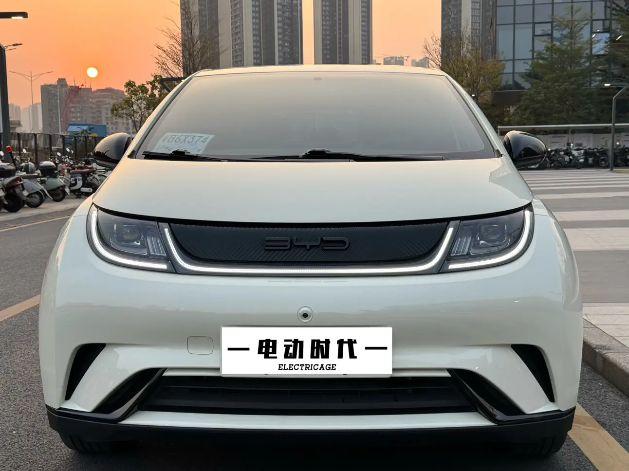 BYD Dolphin  из Китая