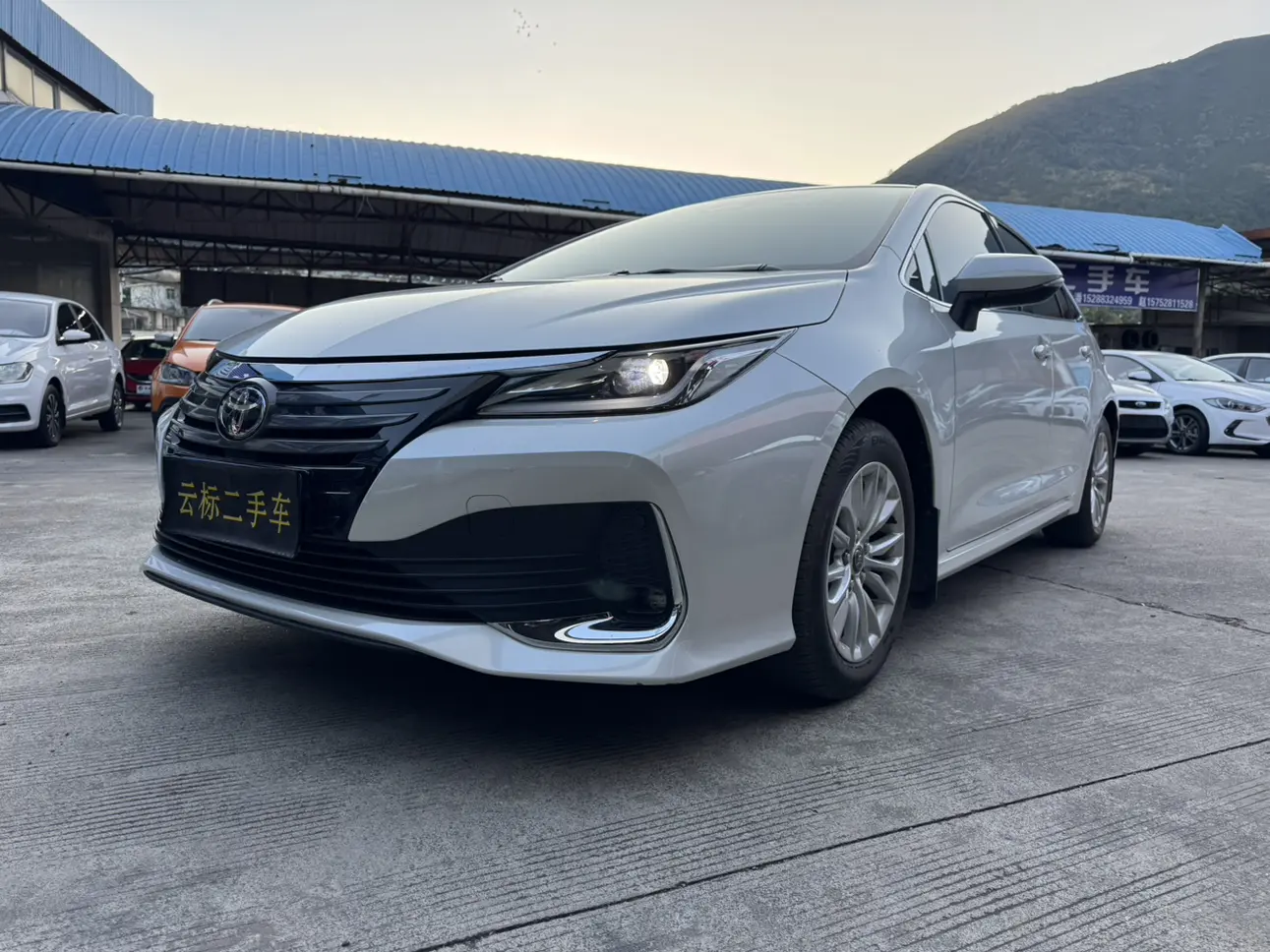Toyota Asiatic lion