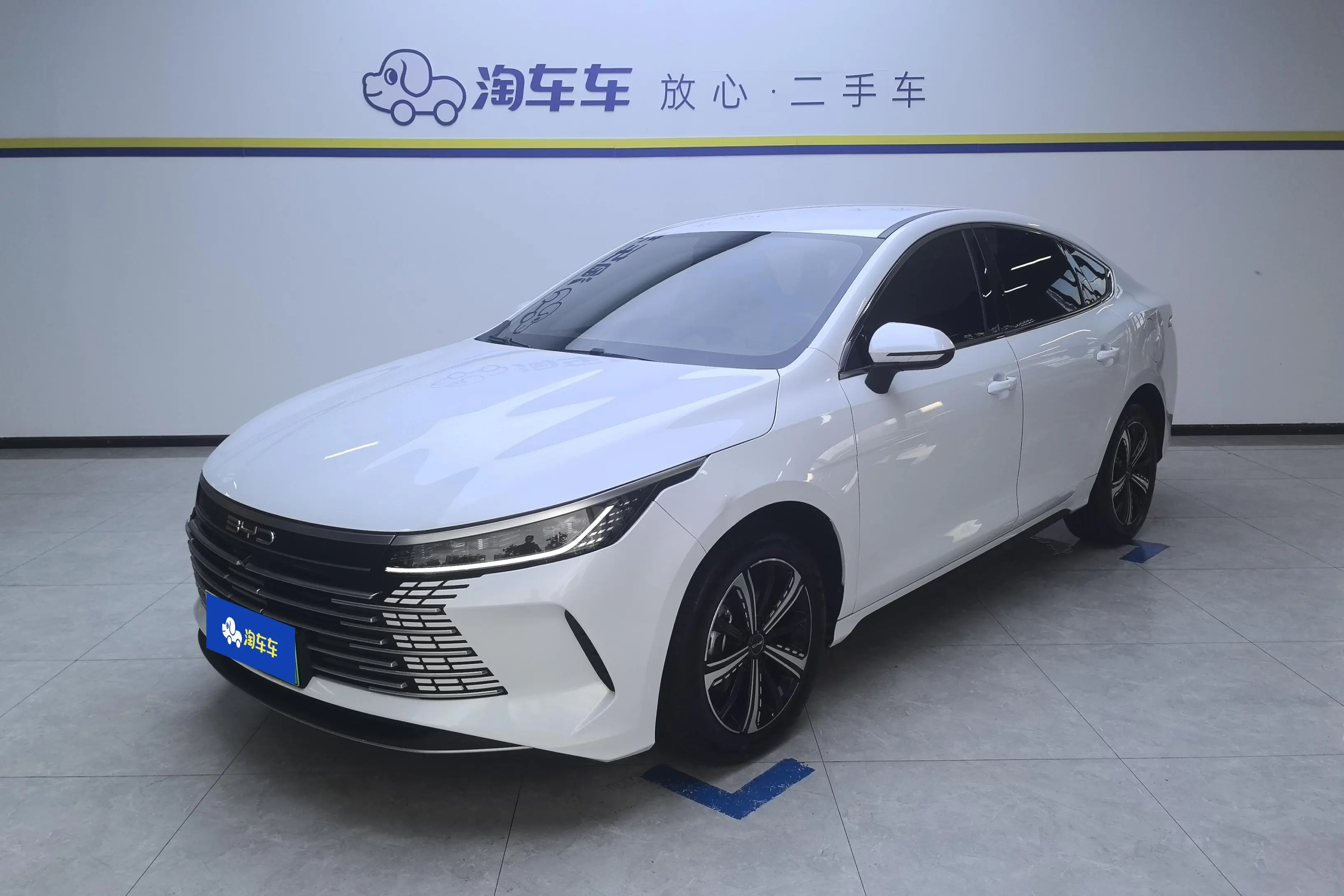 BYD Destroyer 05  из Китая