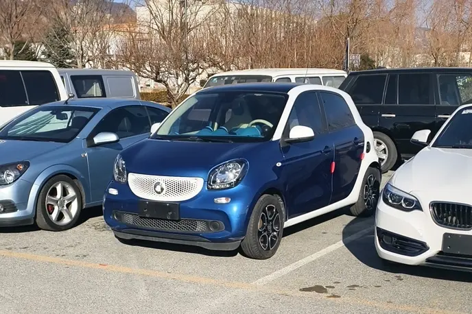Smart forfour  из Китая