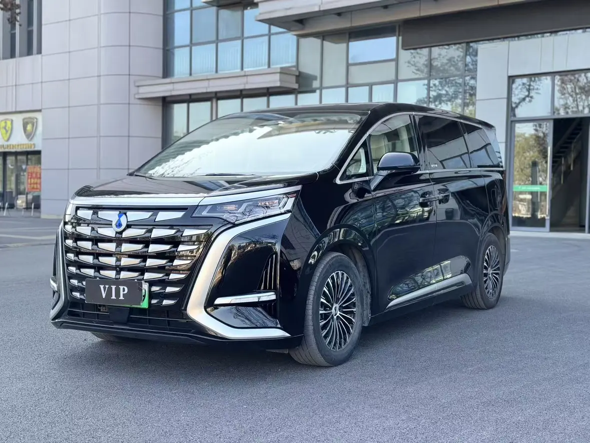 Denza D9 DM  из Китая