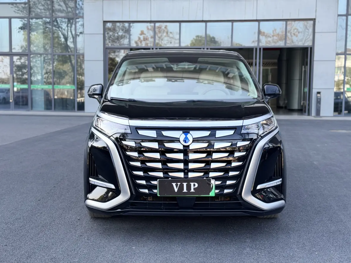 Denza D9 DM  из Китая