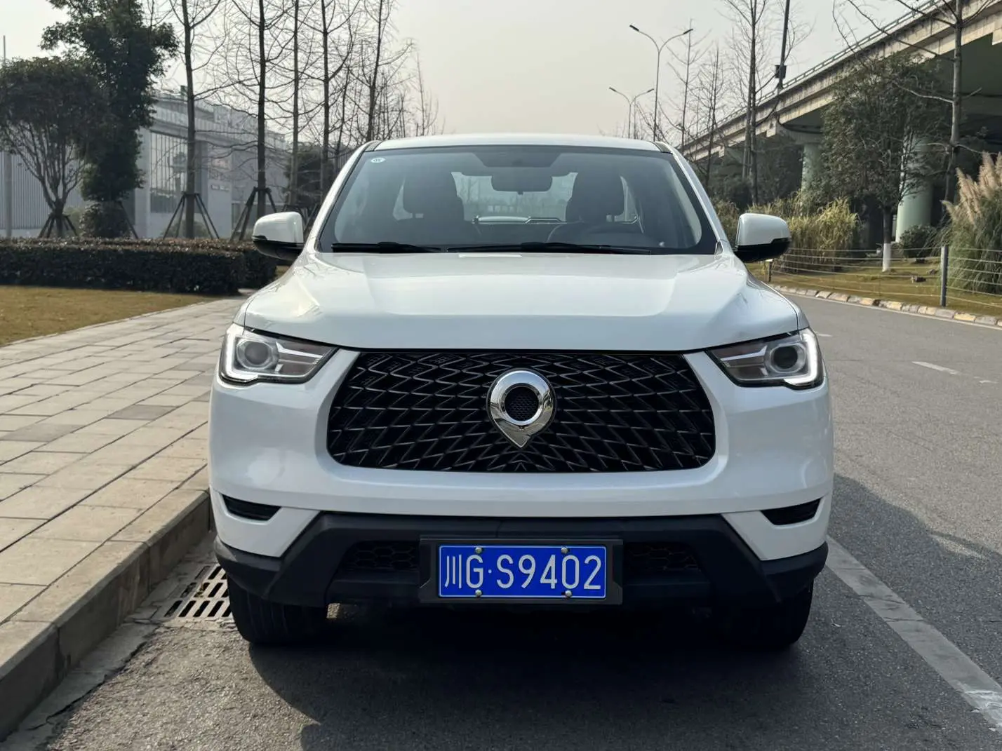 Great Wall Gun  из Китая