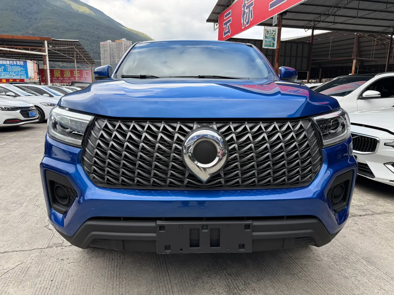 Great Wall Gun  из Китая