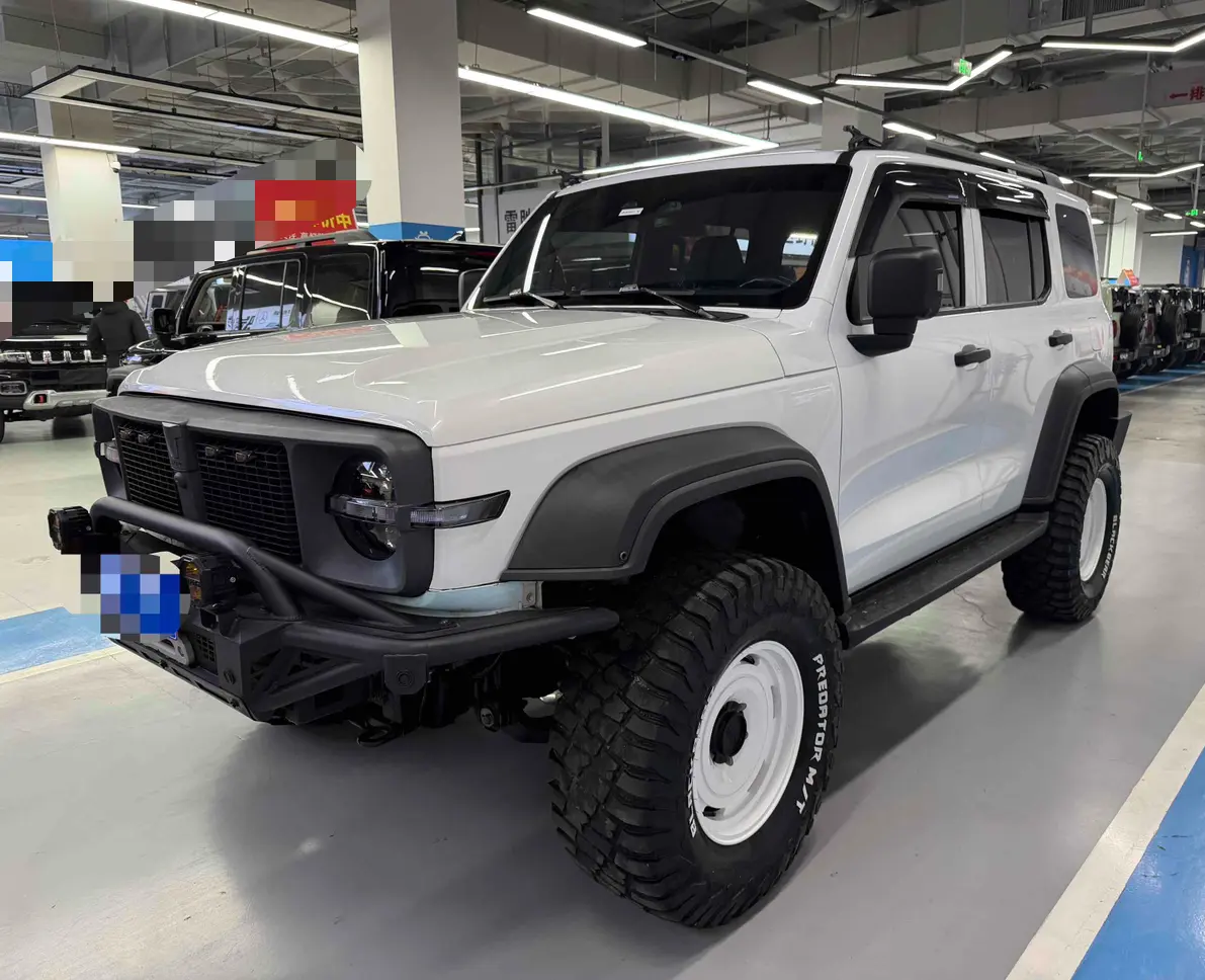 Tank 300  из Китая