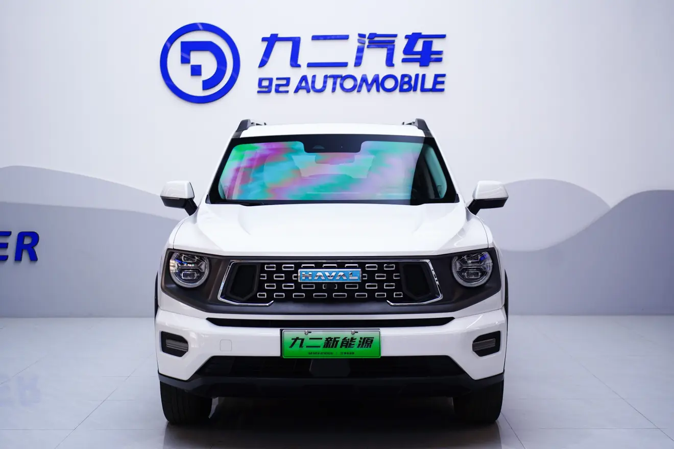 Haval Big Dog PLUS PHEV  из Китая