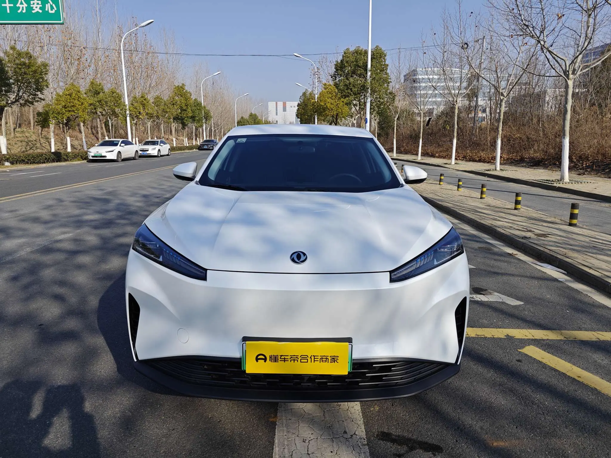 Dongfeng SKY EV01  из Китая