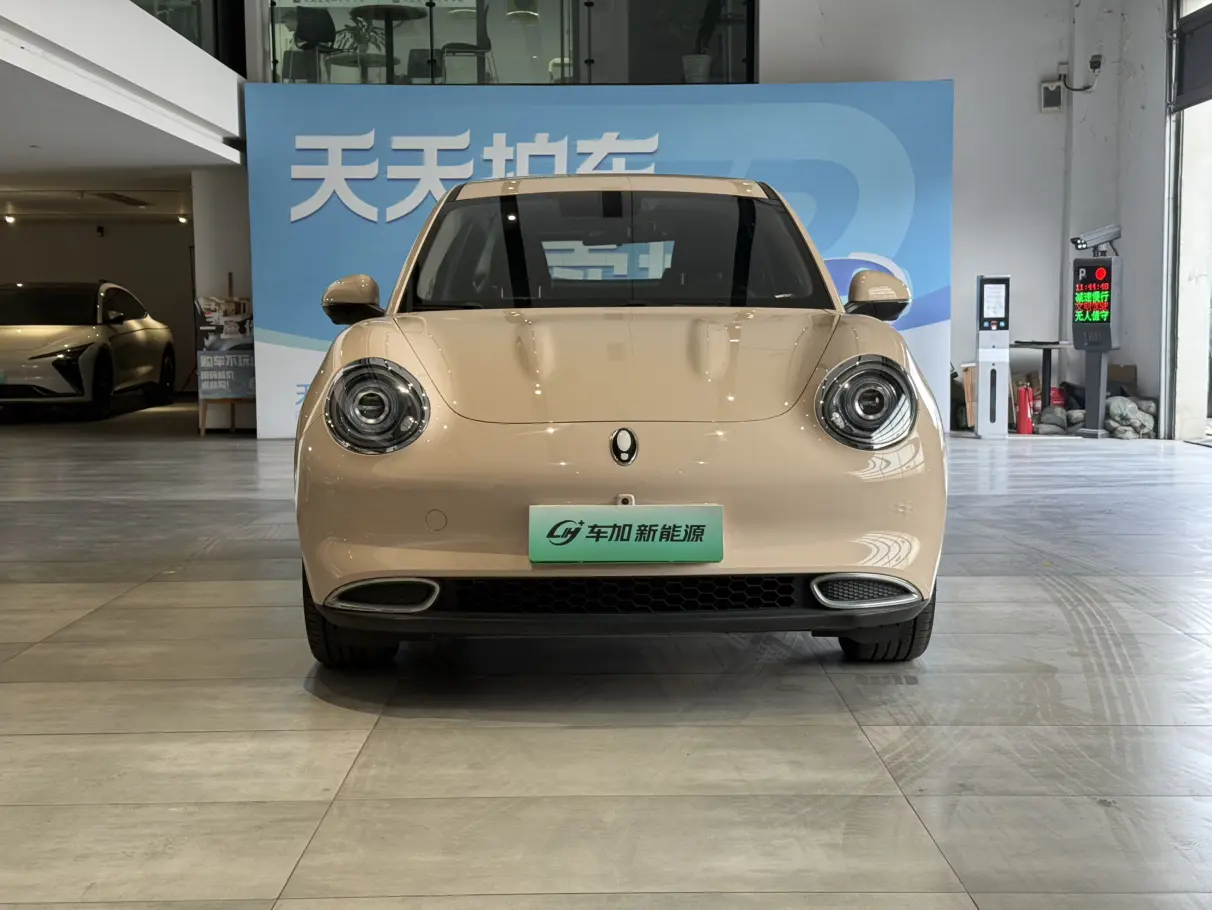 ORA Euler good cat  из Китая