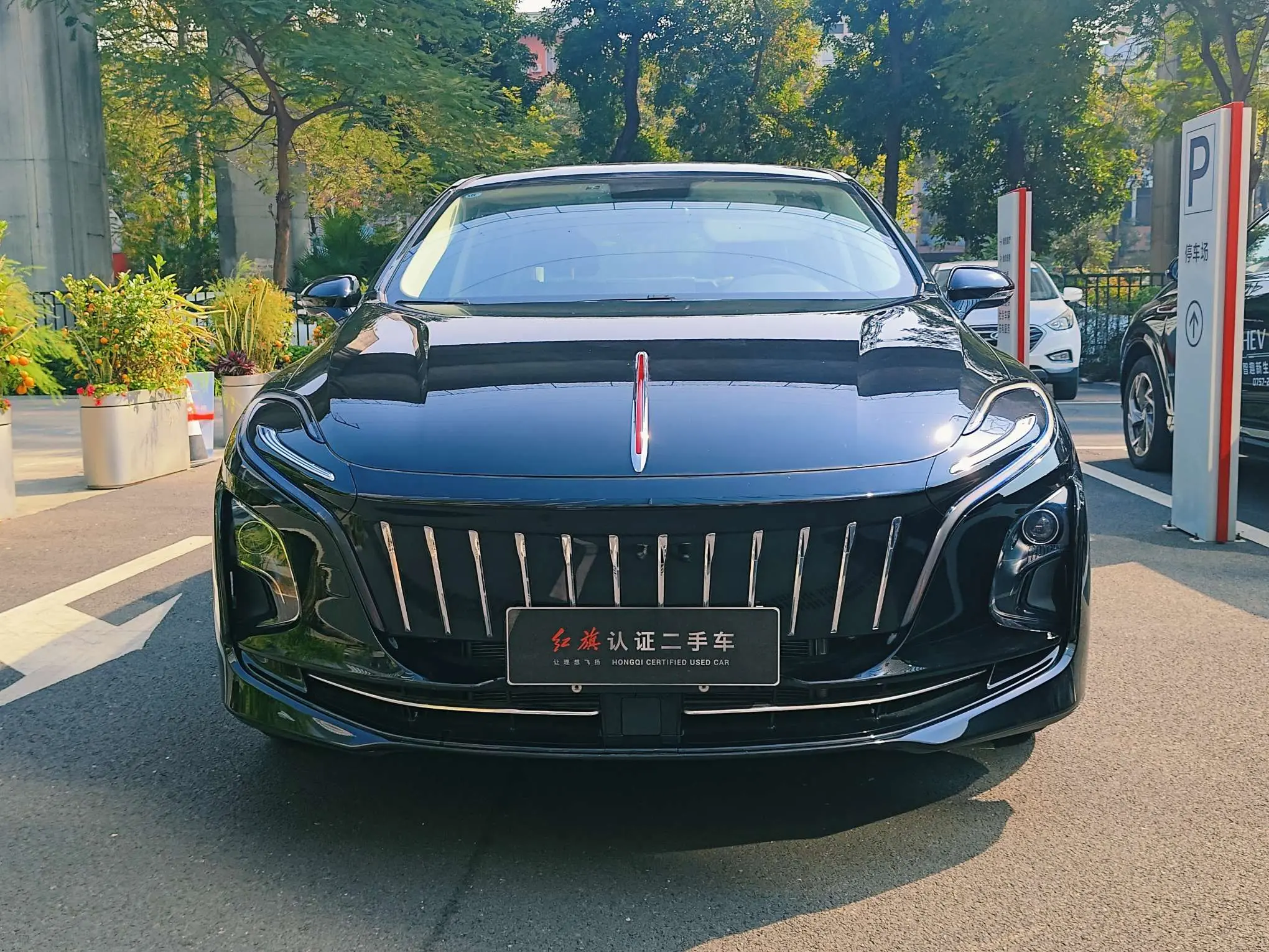 Hongqi E-QM5  из Китая