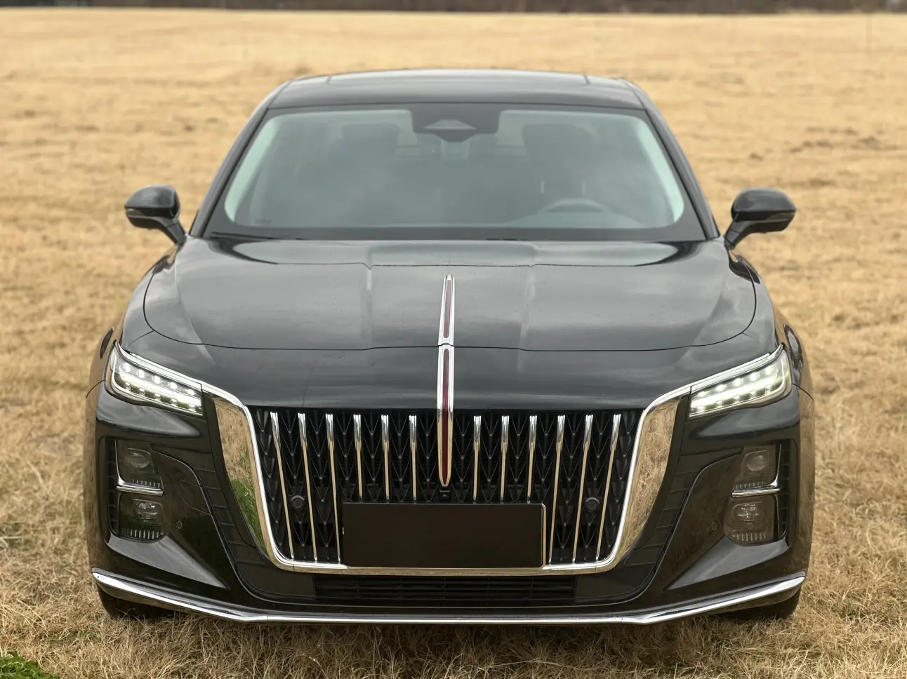 Hongqi H5  из Китая